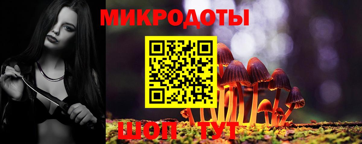 Щёлково  Псилоцибиновые грибы мицелий  Вход с VPN 